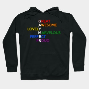 Gaymer for Gay Gamers with Pride Color Flag Hoodie